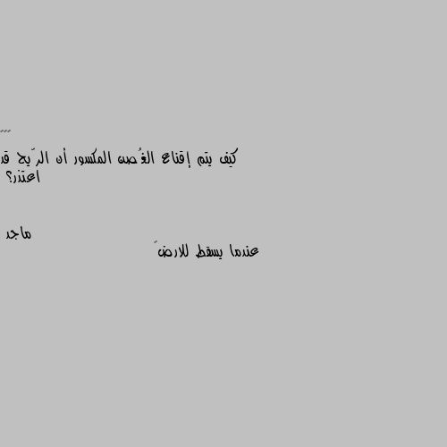 كيف يتم إقناع الغُصن المكسور أن الرّيح قد اعتذر؟ عندما يسقط للارض😁