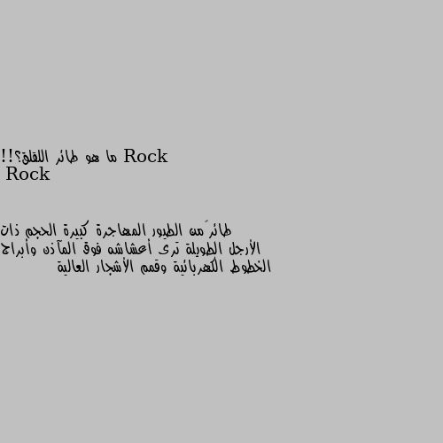 ما هو طائر اللقلق؟!! طائر من الطيور المهاجرة كبيرة الحجم ذات الأرجل الطويلة ترى أعشاشه فوق المآذن وأبراج الخطوط الكهربائية وقمم الأشجار العالية