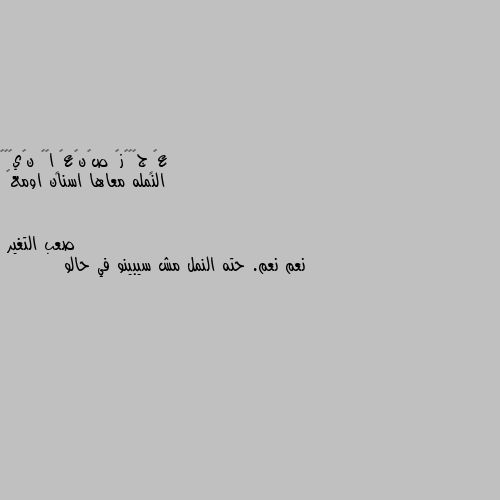 النمله معاها اسنان اومع🤔 نعم نعم. حته النمل مش سيبينو في حالو