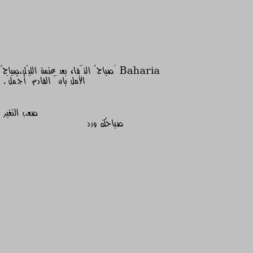 ‏صباحُ النَّقاء بعد عتمة الليْل،صباحُ الأمل بانَّ القادمَ أجْمل💙. صباحك ورد