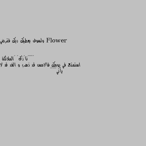 ولسوف يعطيك ربك فترضي استمتع في يومك فالامس قد ذهب و الغد قد لا يأتي🖤🦋🌃🌿🥀