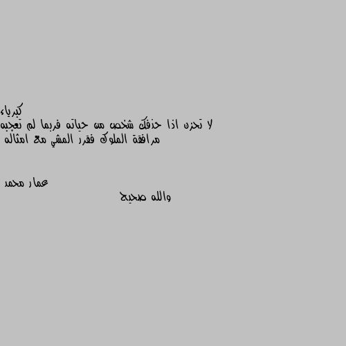 لا تحزن اذا حذفك شخص من حياته فربما لم تعجبه مرافقة الملوك فقرر المشي مع امثاله والله صحيح